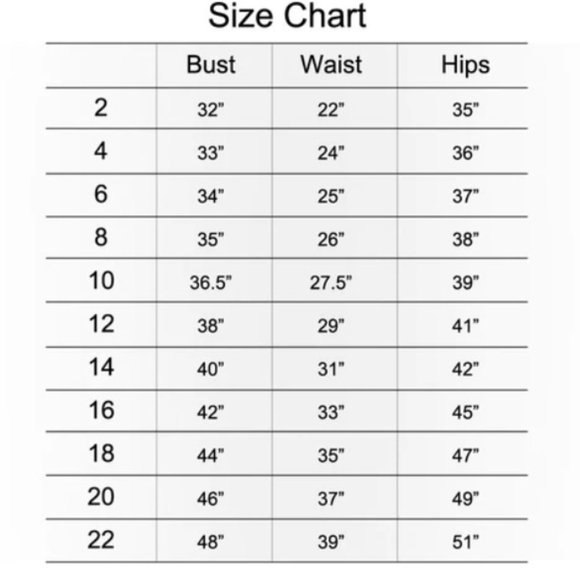 Anne Sexton copy cat zebra print dress size medium - Picture 5 of 5